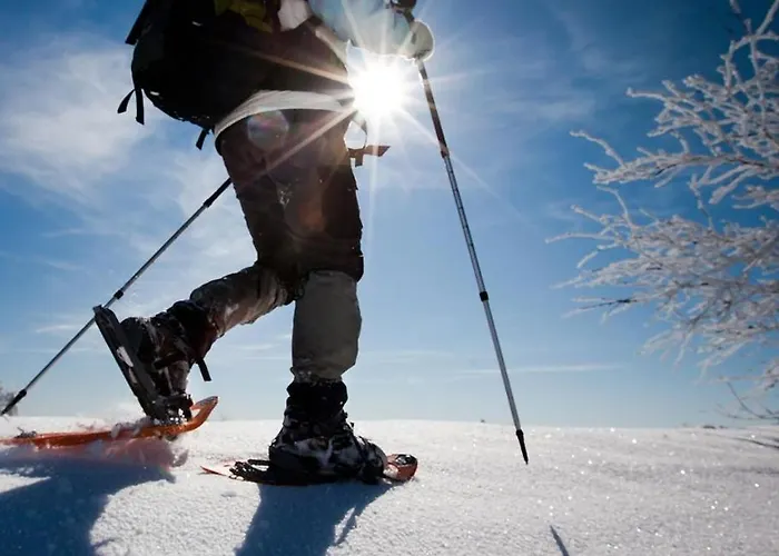 Appartement Casa Nevexenne & La Casa Di Blek Alleghe